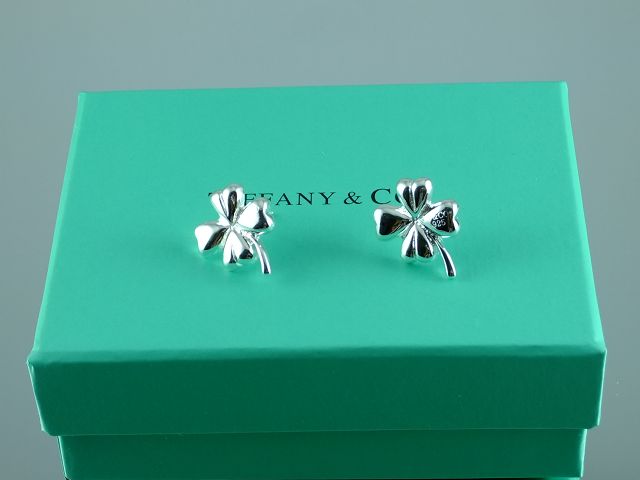tiffany Earrings-155